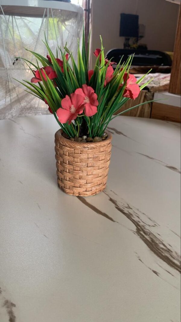 Basket flower