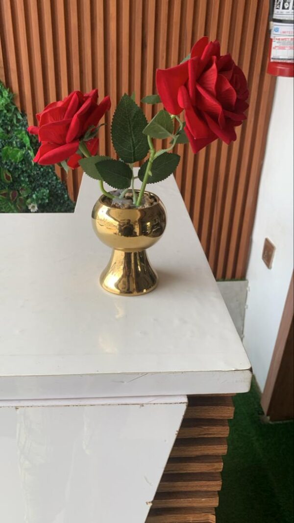 Rose flower 