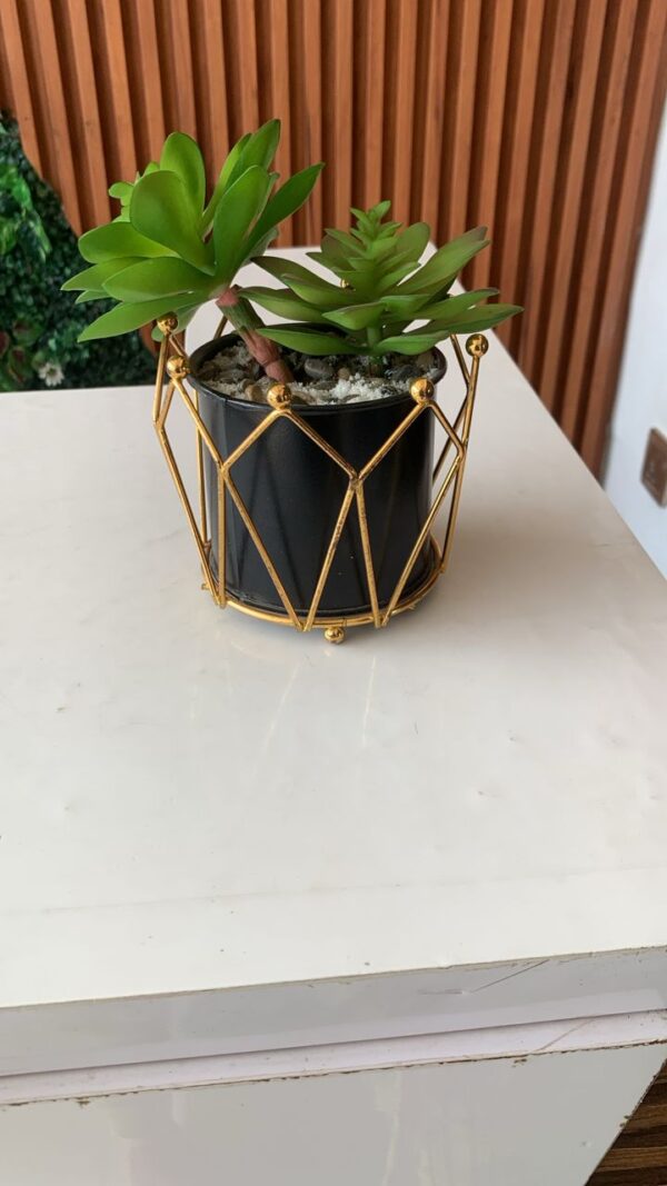 Small cage flower