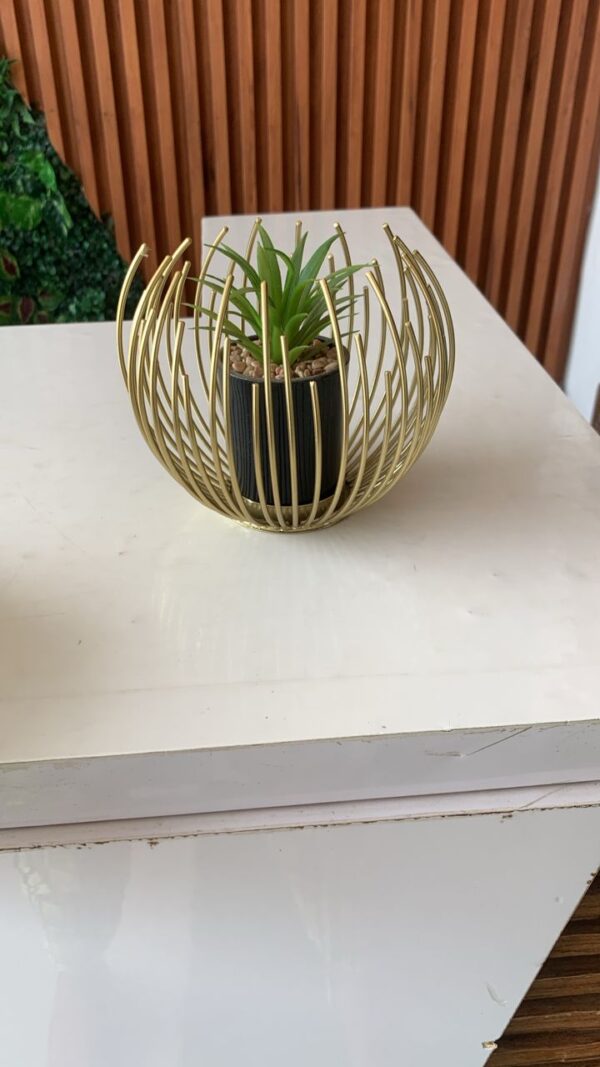 Small cage flower