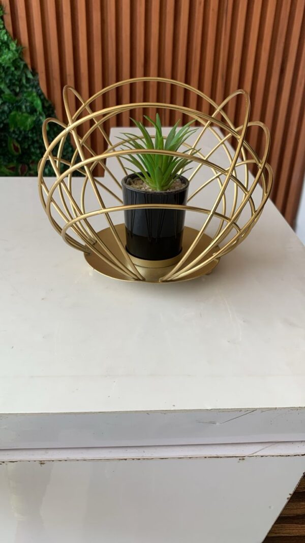 Big cage flower