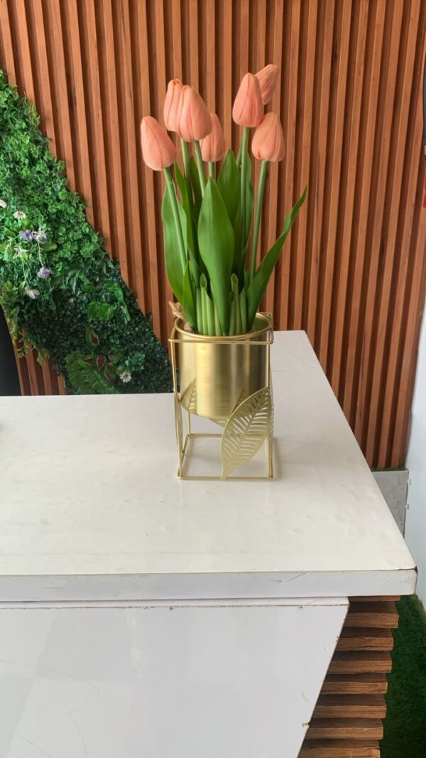 Orchid flower