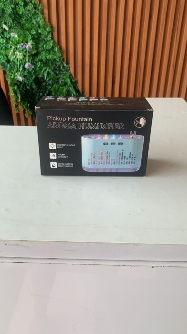Pick up fountain humidifier